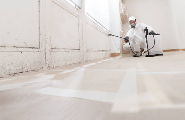 24/7 Emergency Mold Remediation experts in Odessa, FL